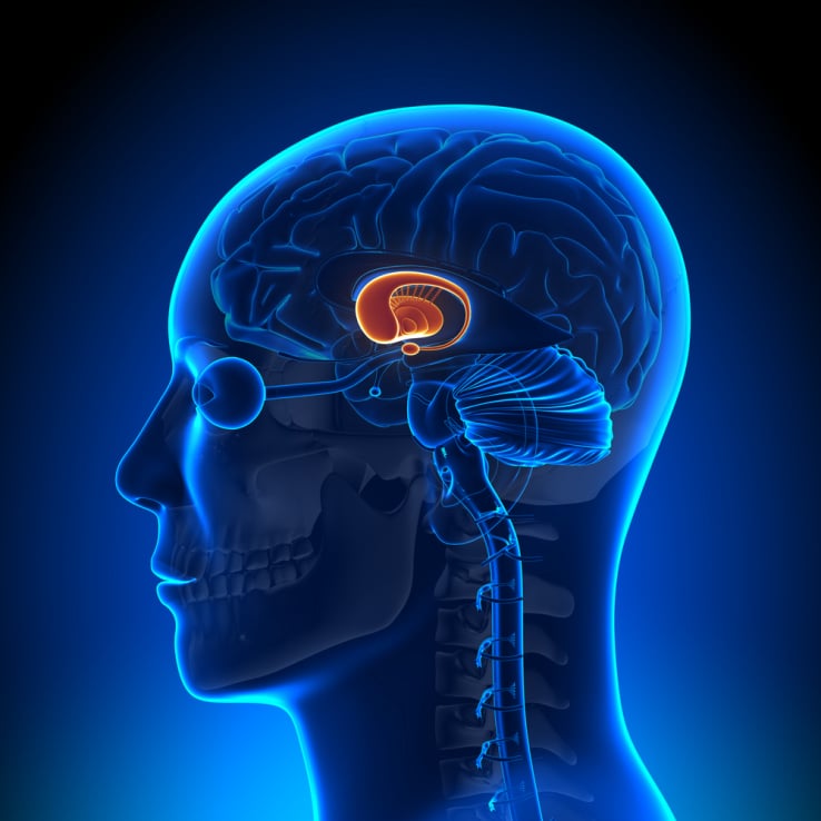 NeuroRemind 